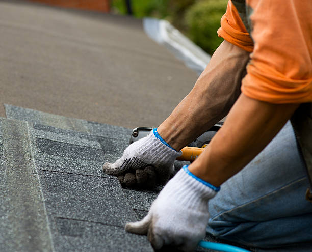 Best Flat Roof Repair Services  in Haliimaile, HI